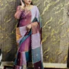 Beautiful WMS Space Silk Festival Saree Wholesale Surat 2026