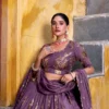 Stylish WMN 1451 Eravii Chocolate Crush Embroidery Lehenga Choli Wholesale 2026