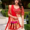 Buy WMN 2022 Agneya Paithani Silk Weaving Lehenga Choli Wholesale 2026