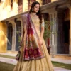 Stylish WMN 2032 Nithyashri Simmer Organza Weaving Lehenga Choli Wholesale 2026