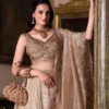 Launching WMN 1430 Gold Crush Plain Work Wedding Lehenga Choli Wholesale 2026
