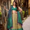 Launching WMN 1253 Ishani Vichitra Silk Printed Lehenga Choli Wholesale 2026