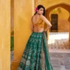 Launching WMN 1010 Vaishali Silk Lehenga Choli Wholesale in Surat 2026