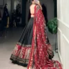 Stylish WMN 1221 Tussar Silk Patola Printed Festival Lehenga Choli Wholesale 2026