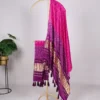 Launching WMN 4005 Gaji Silk Printed Dupatta Wholesale 2026