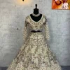 SBD 1791 Soft Net Sequins Work Wedding Wear Lehenga Choli Wholesale Surat