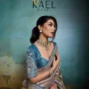 Sethnic Kael Rare Tissue Banarasi Saree Collection Wholesale