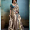 Sethnic Kael Rare Tissue Banarasi Saree Collection Wholesale