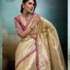 Sethnic Kael Rare Tissue Banarasi Saree Collection Wholesale