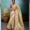 Sethnic Kael Rare Tissue Banarasi Saree Collection Wholesale