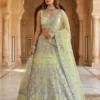 SBD 1644 Butterfly Net Mirror Work Party Wear Lehenga Choli Wholesale Surat
