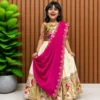 Pari Paithani Silk Zari Weaving Work Wedding Lehenga Choli Wholesale Surat