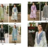 Deepsy Jade Elara Chiffon Dupatta Cotton Embroidered Salwar Kameez Wholesale
