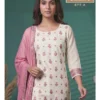 Vinay Kuleesh Chhavi Vol 3 Via Muslin Handworked Salwar Kameez Collection Wholesale