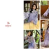 Launching Deepsy Elaf Chikankari Chiffon Dupatta Self Embroidered Salwar Kameez Collection Wholesale 2026
