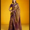 Latest Rajtex Kilkaari Ikkat Pure Silk Handloom Weaving Saree Collection Wholesale 2026