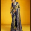 Latest Rajtex Kilkaari Ikkat Pure Silk Handloom Weaving Saree Collection Wholesale 2026