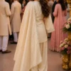 Latest Mrudangi Janki Premium Silk Hand Mirror Worked Salwar Kameez Collection Wholesale 2026