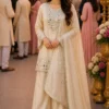 Latest Mrudangi Janki Premium Silk Hand Mirror Worked Salwar Kameez Collection Wholesale 2026