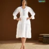 Beautiful Blue Hills Anna Rayon Embroidered Kurti Collection Wholesale 2026