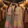 Mrudangi Vaani Georgette Embroidered Salwar Kameez Collection Wholesale