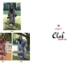 Deepsy Elaf Signature Nx Chiffon Dupatta Cotton Embroidered Salwar Kameez Wholesale
