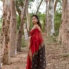 Soft Silk 5060 Linen Slub Weaving Saree Collection Wholesale