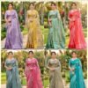 Beautiful Kashvi Meera Vol 7 Brasso Doby Border Zari Printed Saree Collection Wholesale 2026