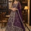 Anjani 2945 Elegant Embroidery and work Party wear Lehenag Choli Collection Wholesale