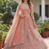 Launching Anjani 2948 Exquisite Embroidery work and Patch style work Partywear Lehenga Choli Collection Wholesale 2026