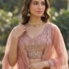 Launching Anjani 2948 Exquisite Embroidery work and Patch style work Partywear Lehenga Choli Collection Wholesale 2026