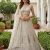 Launching Anjani 2948 Exquisite Embroidery work and Patch style work Partywear Lehenga Choli Collection Wholesale 2026