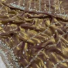 Stylish DKT 5169 Fandy Satin Sequins Work Wedding & Festival Saree 2026