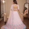 Stylish SBD 885 Georgette Embroidery Party Wear Lehenga Choli Wholesale Surat 2026