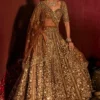 SBD 1129 Butterfly Net Embroidery Wedding Bridal Lehenga Choli Wholesale Surat