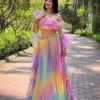 Alia 579 Silk Oragnza Net Festival & Party Wear Lehenga Blouse Wholesale Surat