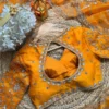 Buy Deepika 628 Fendy Silk Sequnce Work Yellow Wedding Saree Wholesale India 2026