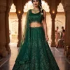 HCR 460 Net Codding Sequins Work Lehenga Choli Online Shopping