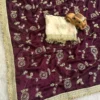 RC1 Rado Sattin Trending Sequence Work Saree