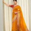 Rani 6093 Lichi Silk Cloth Party Wear Jacquard Saree Wholesale Surat