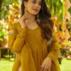 Beautiful LFK 7027 Georgette Printed Festive Anarkali Gown Wholesale Surat 2026