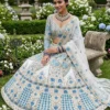 Latest SBD 1700 Georgette Embroidery Lehenga Choli Wholesale Surat 2026
