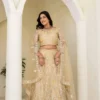 Beautiful DKT 5164 Net Sequins Embroidery Work Lehenga Choli Wholesale Surat 2026