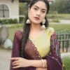 Buy WMT 8133 Silk Zari Weaving Work Festival Lehenga Choli Wholesale Surat 2026