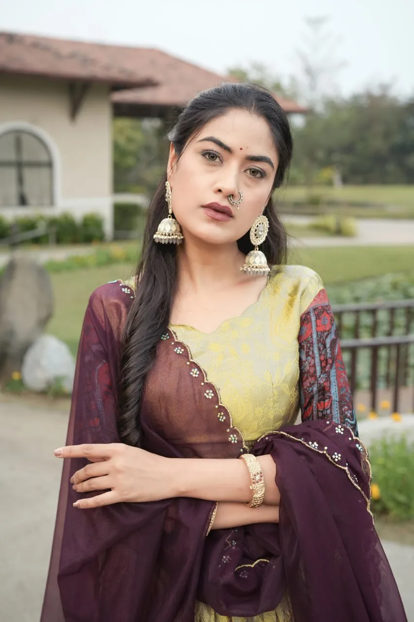 Buy WMT 8133 Silk Zari Weaving Work Festival Lehenga Choli Wholesale Surat 2026