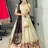 Launching WMT 8147 Paithani Silk Weaving Wedding Wear Lehenga Choli Wholesale Surat 2026