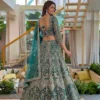 Launching DKT 5172 Net Codding Embroidery Work Wedding Wear Designer Lehenga Choli 2026