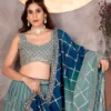 Launching DKT 9234 Georgeet Zari Embroidery Work Lehenga Choli Wholesale Surat 2026