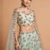 Stylish Zeel 7314 Pista Net Thread Embroidery Work Party Wear Lehenga Choli 2026