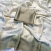 SNT Space Silk 2D Shaded Saree Butta Embroidery Work